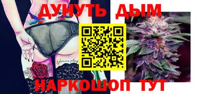 сатива Кандалакша